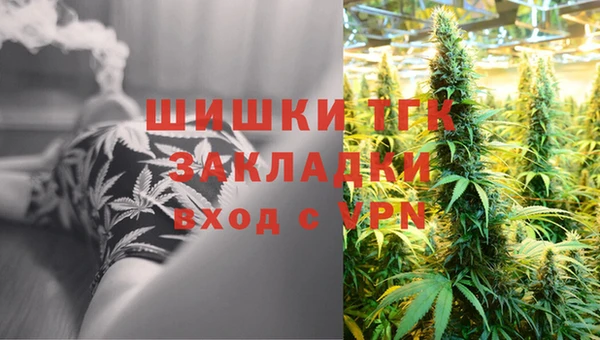 гидропоника Вяземский