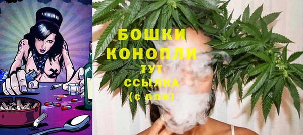 прущий лед Вязьма