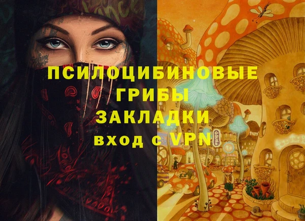 прущий лед Вязьма